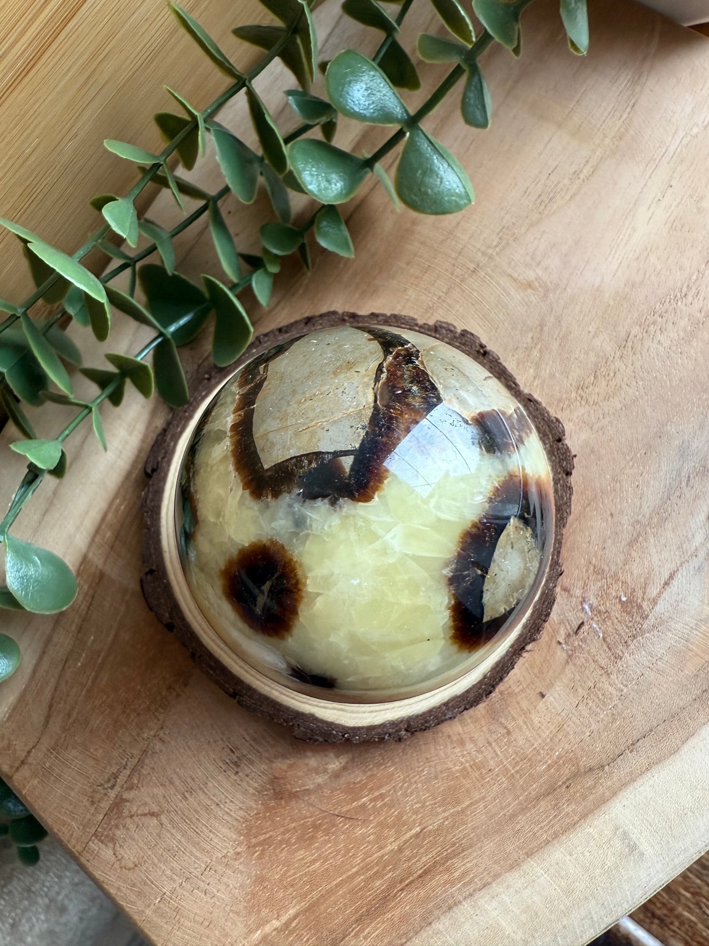 Sphère Septaria - Pièce unique - 300 g