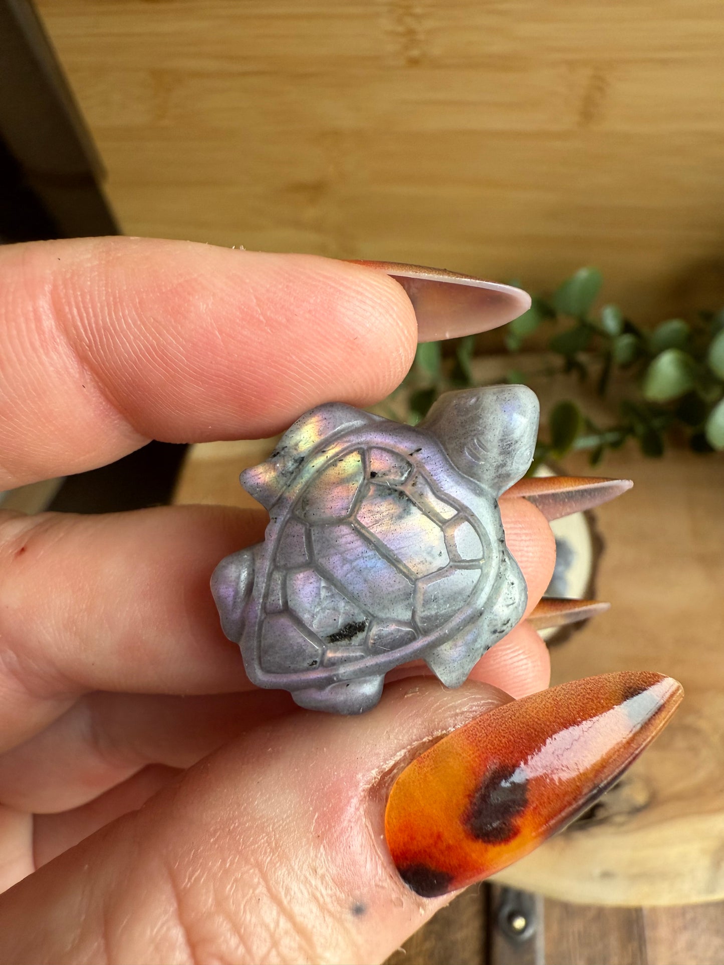 Tortues en Labradorite