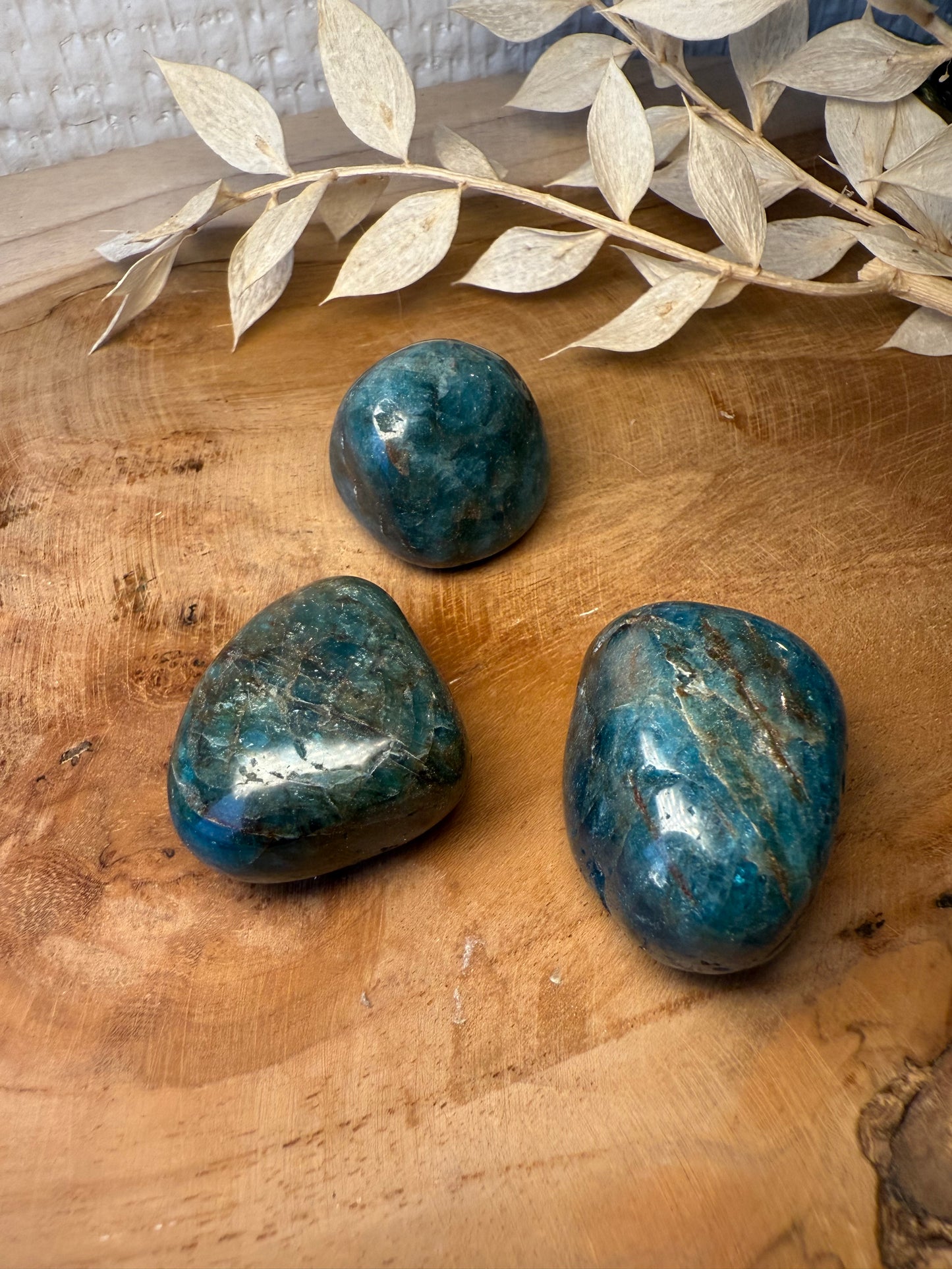 Apatite - Pierre roulée (à l'unité)