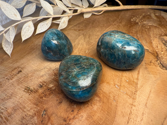 Apatite - Pierre roulée (à l'unité)