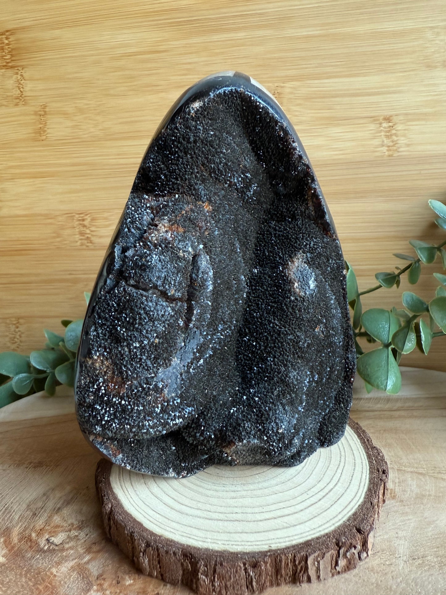 Septaria - Pièce unique - 1 150 g