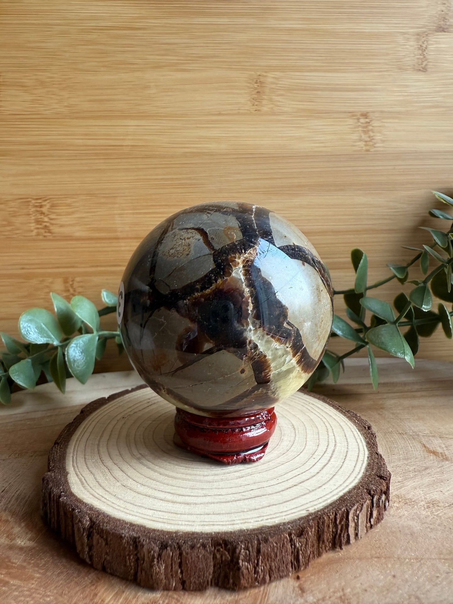 Sphère Septaria - Pièce unique - 300 g