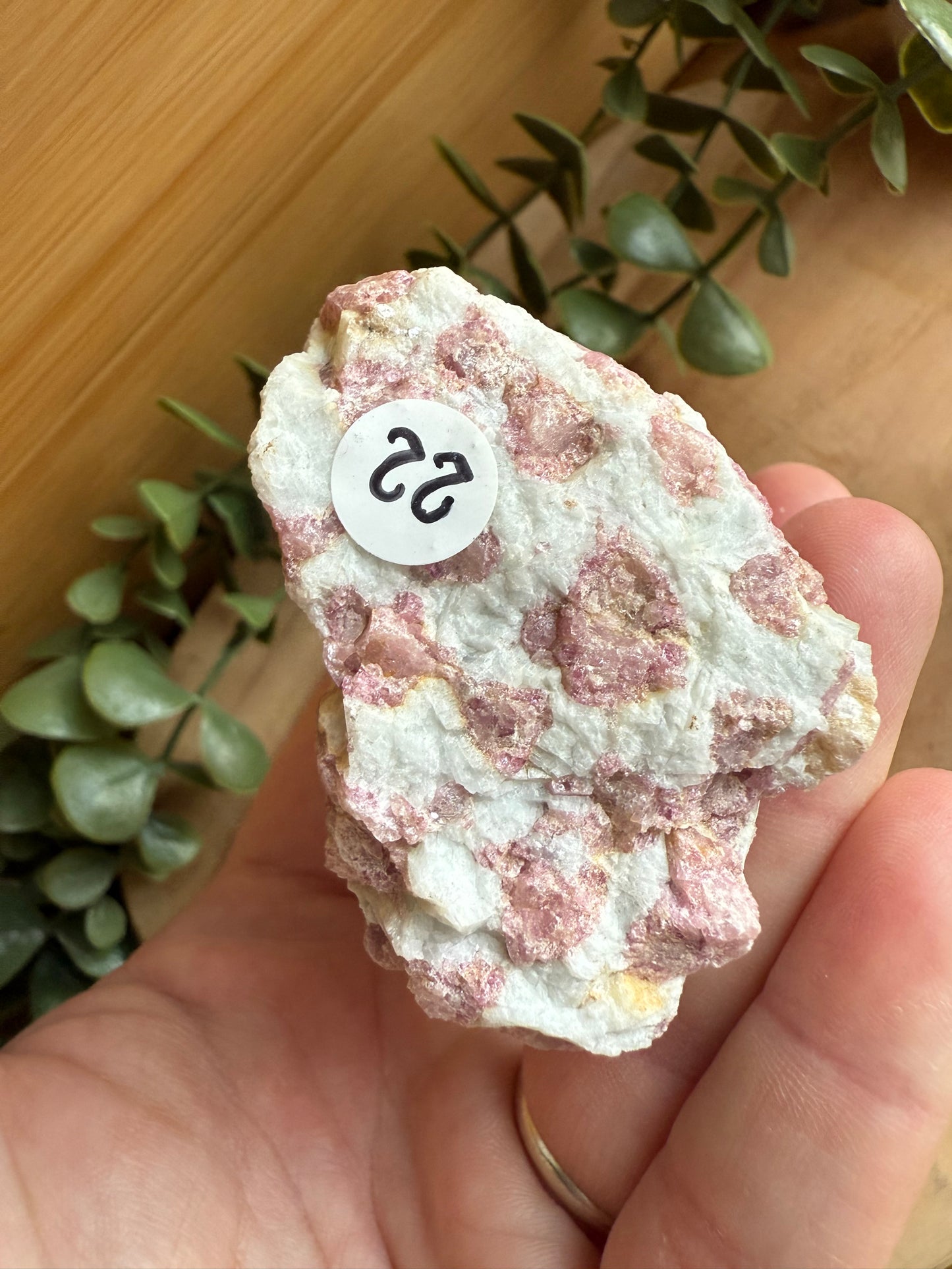 Rubellite (tourmaline rose) - Pièce unique - 195 g