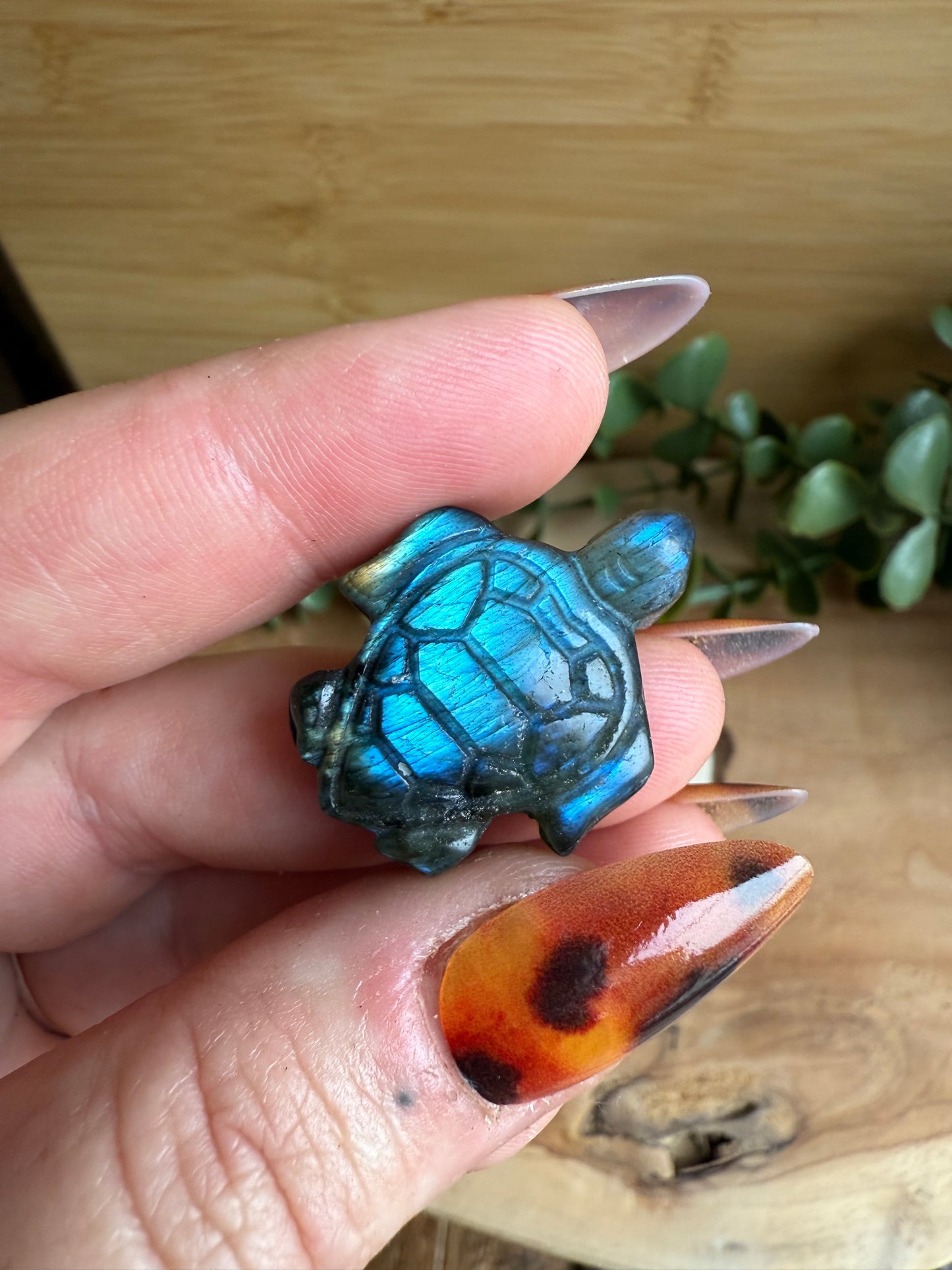 Tortues en Labradorite