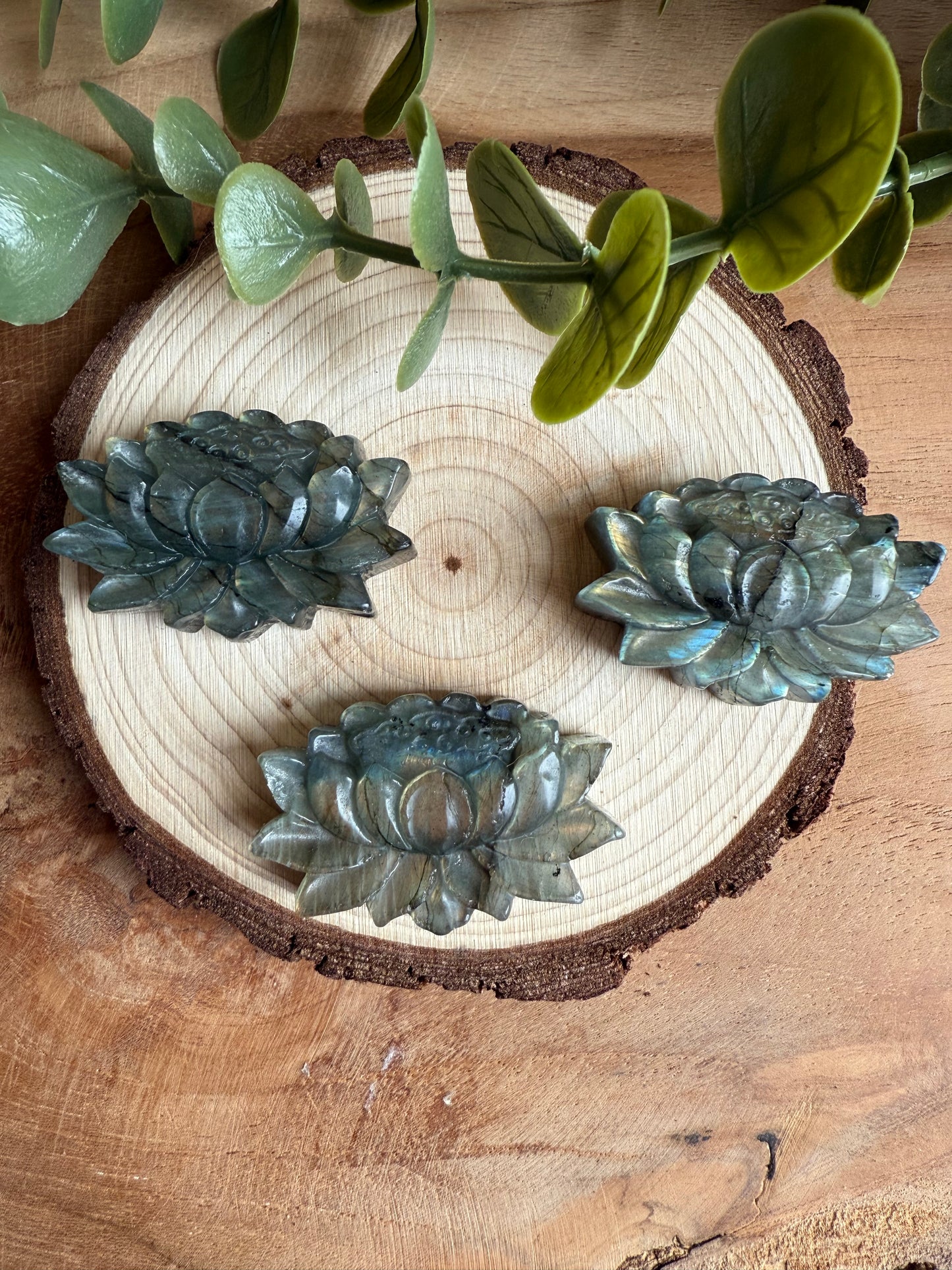 Lotus en Labradorite