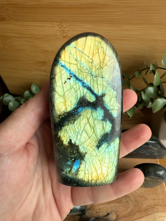 Labradorites à poser - Modèles au choix
